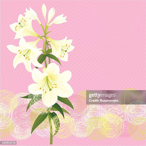 easter white lily - easter lily stock illustrations