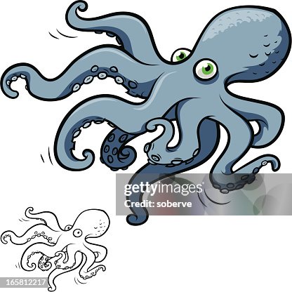 Octopus Octopus