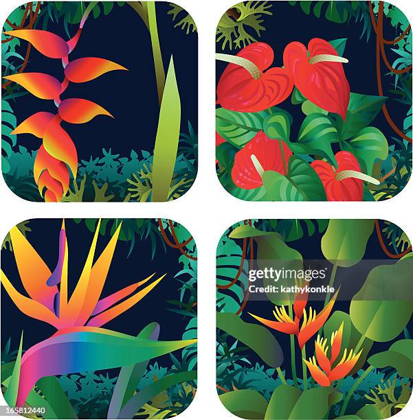 tropical flowers - anthurium stock illustrations