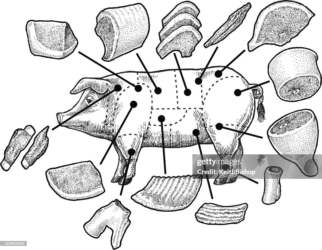 Schwein und Schwein Fleisch