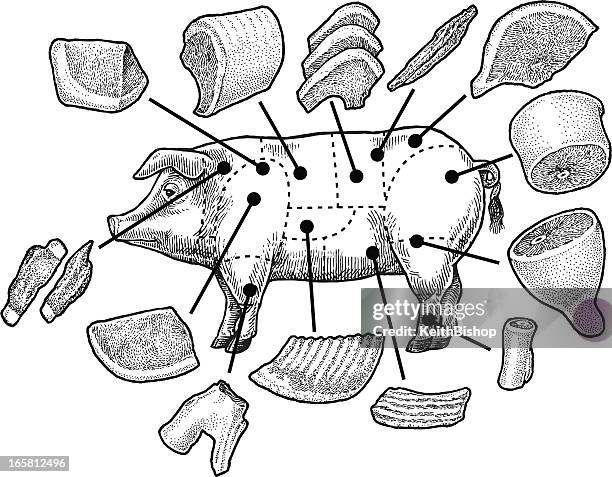 pig and pork meat cuts - spareribs stock illustrations