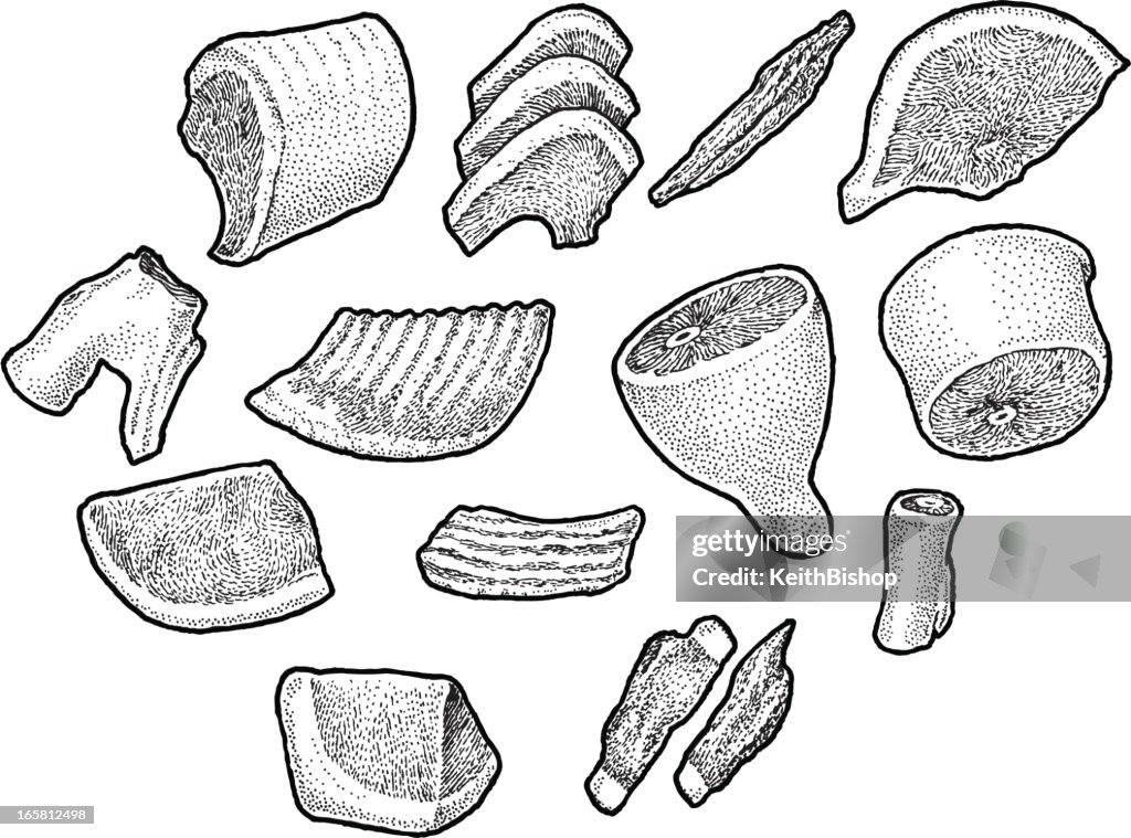 Pork - Meat Cuts
