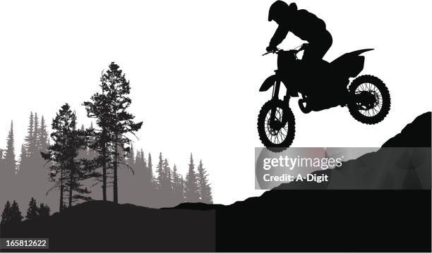 motor jumping vector silhouette - single pine tree stock illustrations