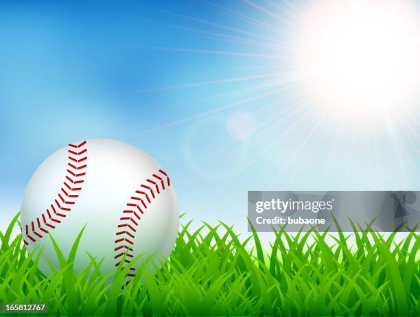 baseball on beautiful summer nature background with grass - baseball trajectory stock illustrations