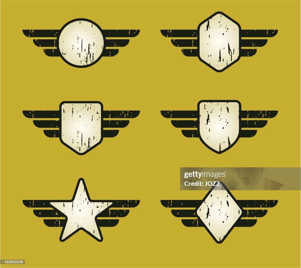 Army flying set