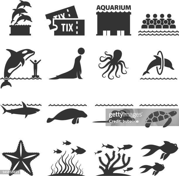 illustrazioni stock, clip art, cartoni animati e icone di tendenza di acquario sea animali nero & bianco icona vettoriale impostato - megalodon