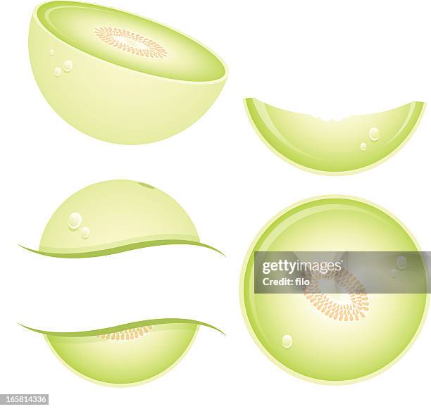 honeydew melon - four section stock illustrations