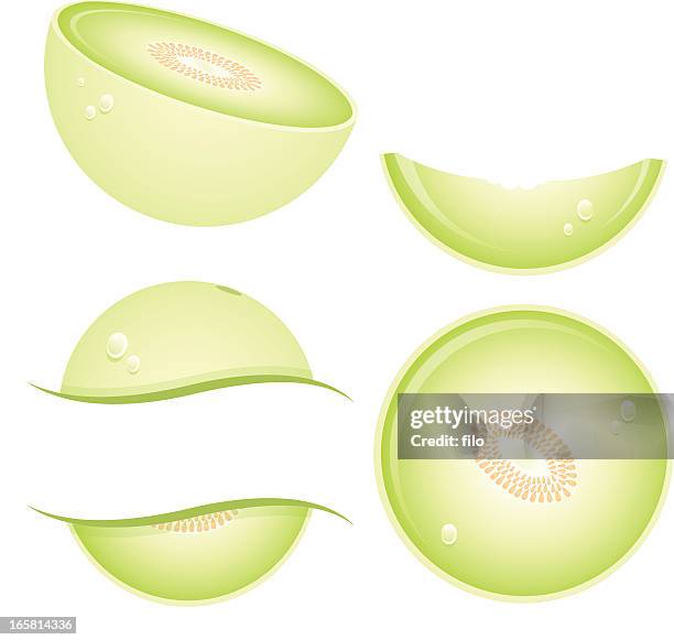 honeydew melon - honeydew melon stock illustrations