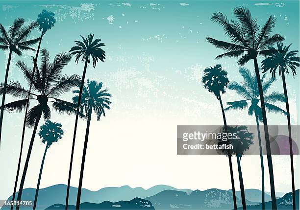 ilustraciones, imágenes clip art, dibujos animados e iconos de stock de palms paisaje - palmera