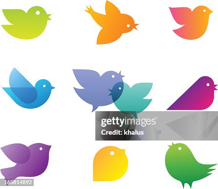 Birds Birds