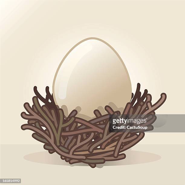 bildbanksillustrationer, clip art samt tecknat material och ikoner med egg in a nest - fågelbo