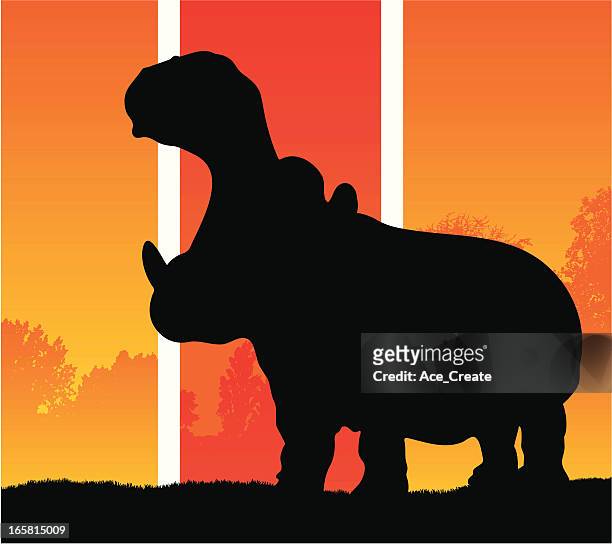 ilustrações de stock, clip art, desenhos animados e ícones de hipopótamo silhueta em um clima quente - yawning