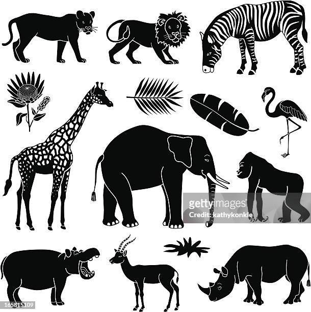 bildbanksillustrationer, clip art samt tecknat material och ikoner med african animals - giraff