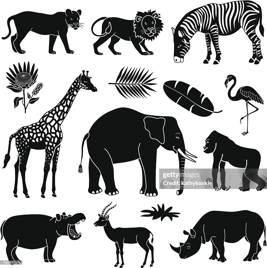 African animals