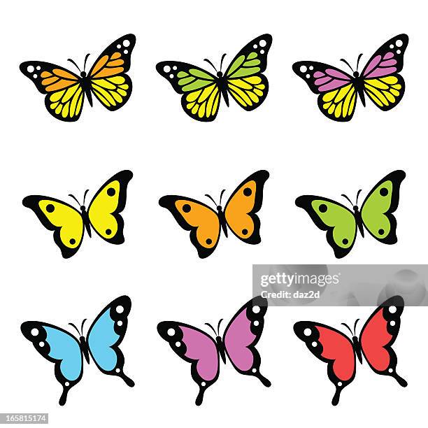 butterflies - animal colour stock illustrations