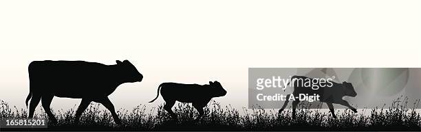 rind - cattle stock-grafiken, -clipart, -cartoons und -symbole