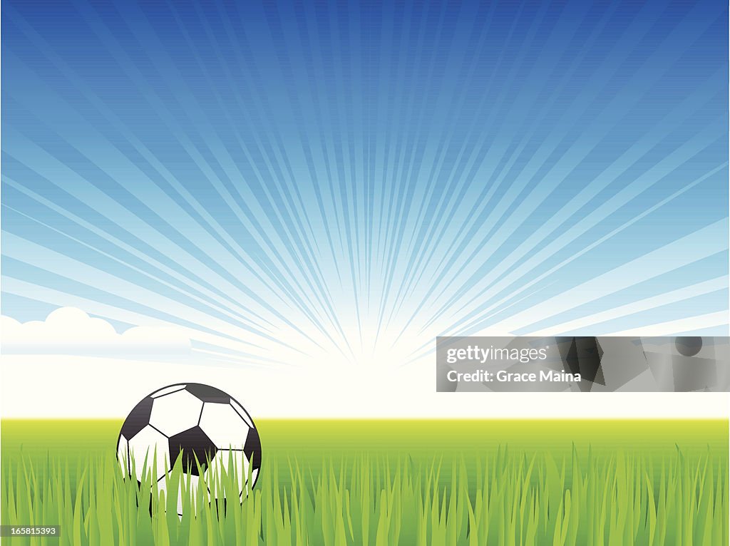 Fußball ball auf Gras-Vektor