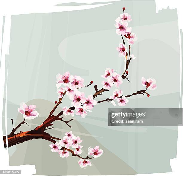 cherry blossom - ikebana arrangement stock illustrations