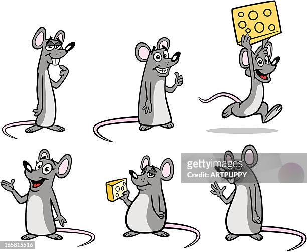 bildbanksillustrationer, clip art samt tecknat material och ikoner med group of mice - råtta