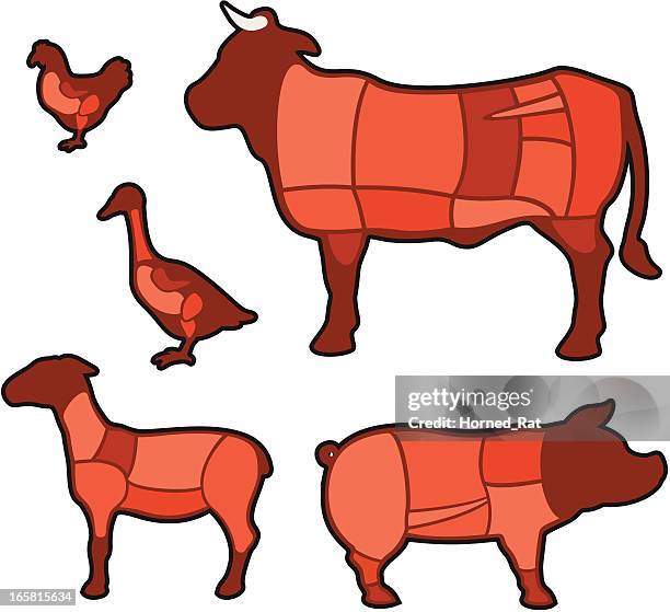 stockillustraties, clipart, cartoons en iconen met diagram - cuts of meat - ganzenvlees