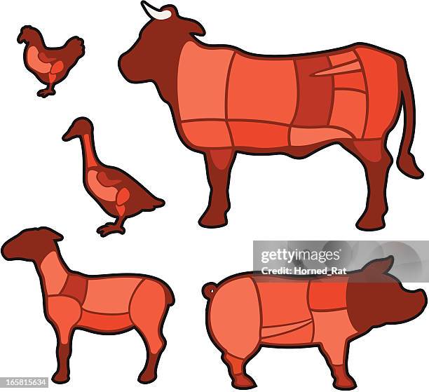 diagram - cuts of meat - animal neck stock illustrations