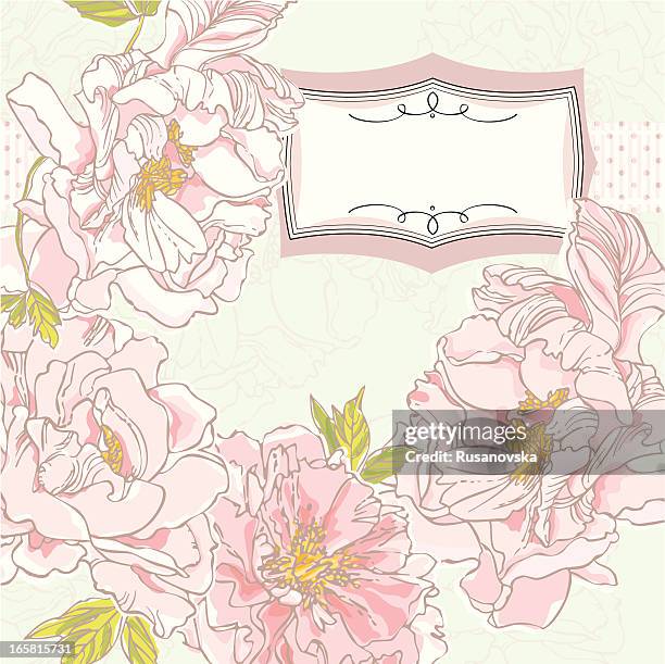 peonies invitation - peonies stock illustrations