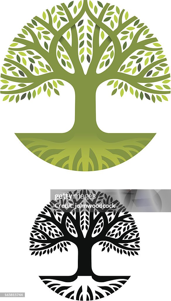 Round Tree Roots High-Res Vector Graphic - Getty Images