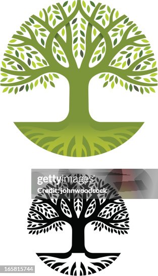 Round Tree Roots High-Res Vector Graphic - Getty Images
