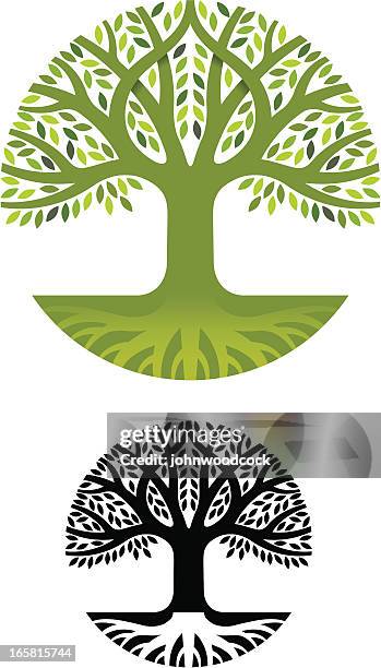 Geometric Roots Graphics 1,030 Geometric Tree Roots Stock Photos, High-Res Pictures, and Images ...