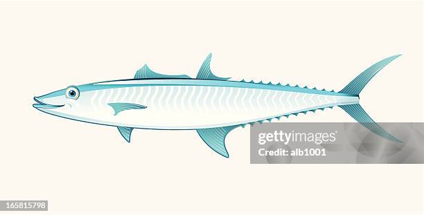 king mackerel - king mackerel vector stock illustrations