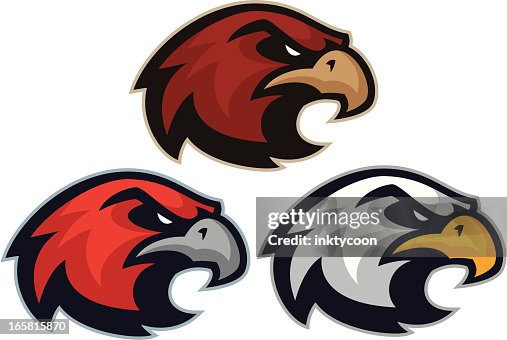 Hawk Eagle mascot heads Hawk Eagle mascot heads