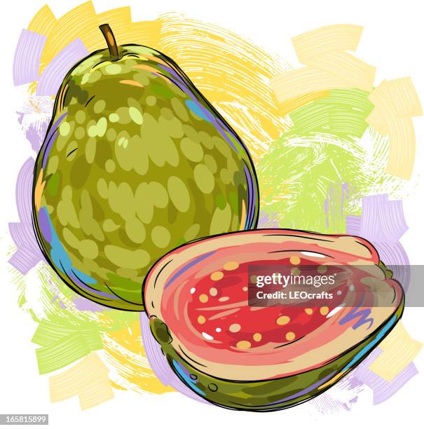 Guava Vector High Resolution Guava Vector Photos and Premium High Res Pictures - Getty Images