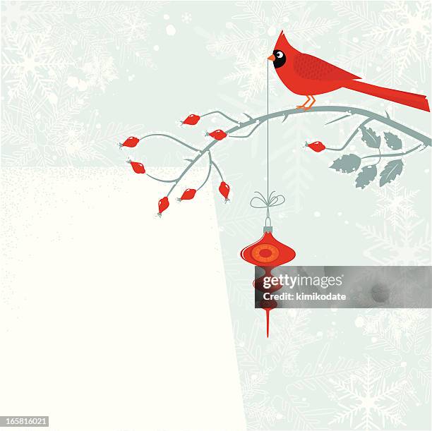 ilustrações de stock, clip art, desenhos animados e ícones de ave cardeal com decoração cristmas - fringillidae