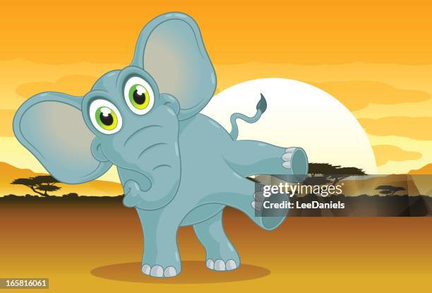 elephant on an african plain - fever tree stock illustrations