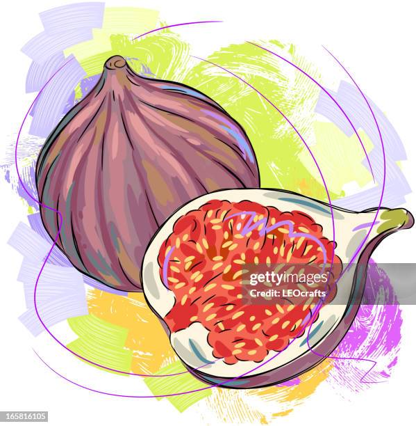 fig - figs stock illustrations