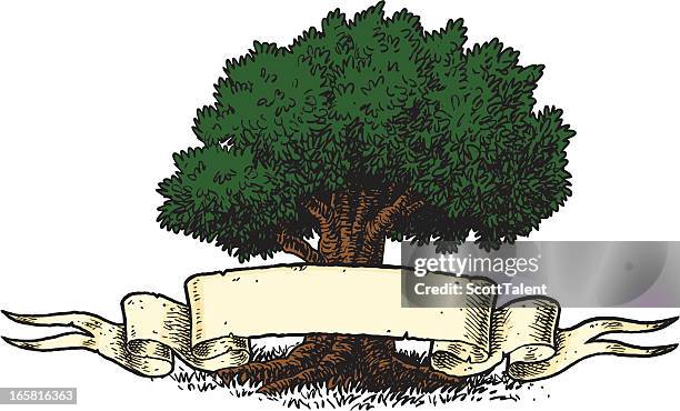 family tree - scott wood stock illustrations