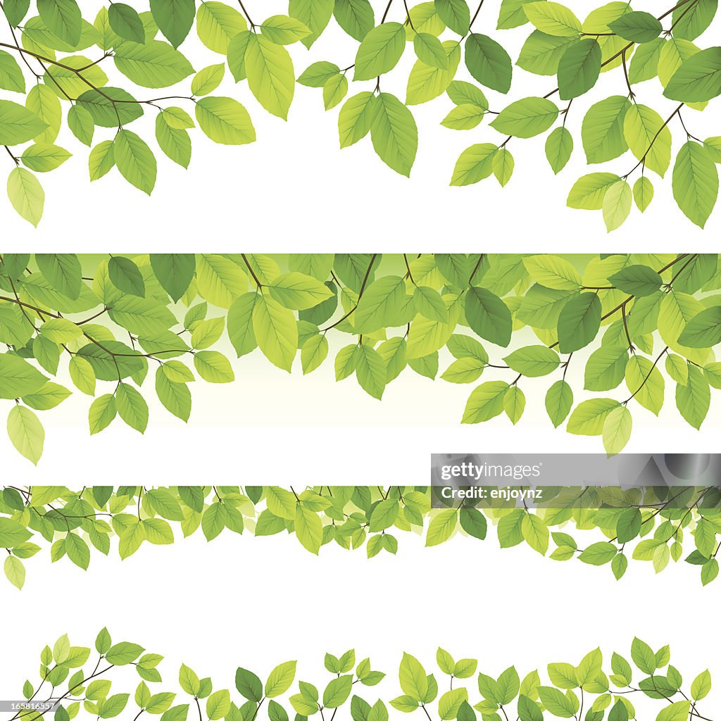 Horizontal leaf backgrounds