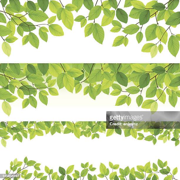 horizontal leaf backgrounds - springtime stock illustrations
