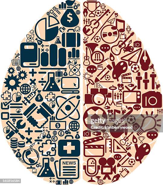 links und rechts gehirn - cerebral hemisphere stock-grafiken, -clipart, -cartoons und -symbole