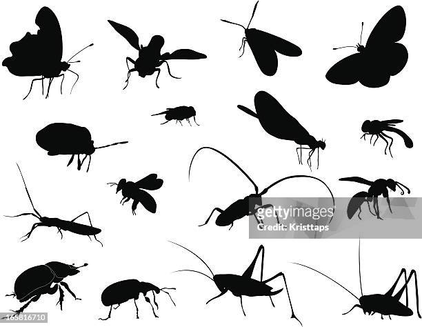 illustrazioni stock, clip art, cartoni animati e icone di tendenza di silhouette-insetti - api