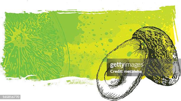 avacado grunge banner - fruits and vegetables background stock illustrations