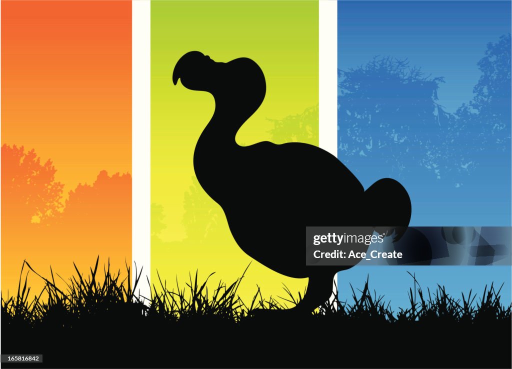 Dodo silhouette