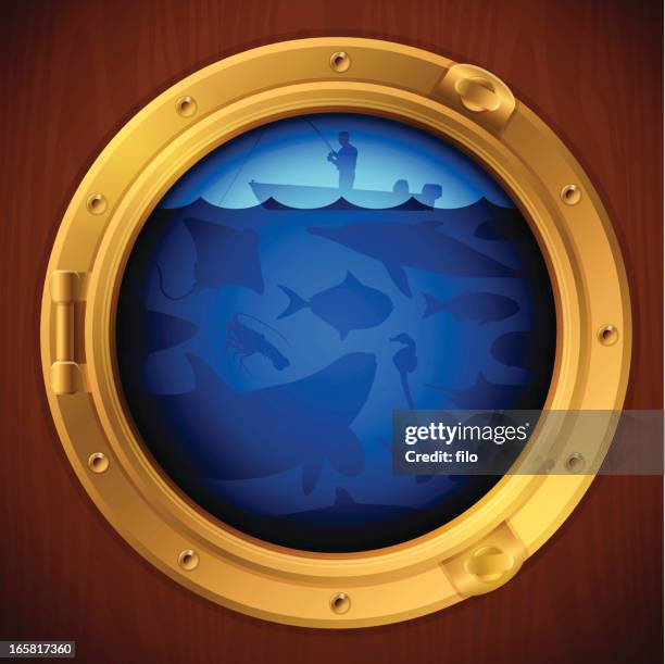 bullauge blick - bullauge stock-grafiken, -clipart, -cartoons und -symbole