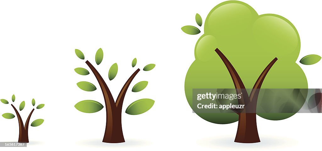 Growth Tree Graphik Tree Growth Stages High-Res Vector Graphic - Getty Images