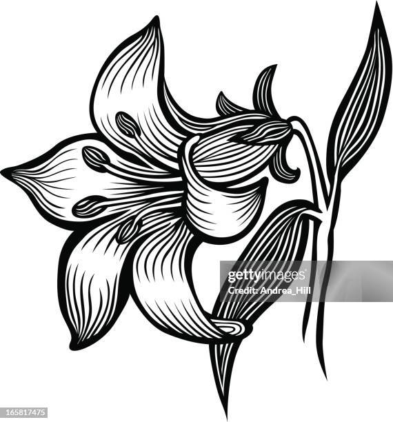 108点の白ゆりイラスト素材 Getty Images 108点の白ゆりイラスト素材 Getty Images