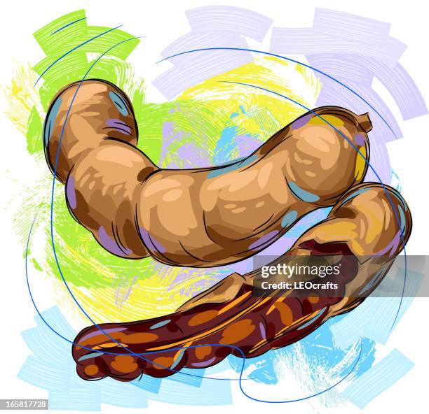 tasty tamarind - tamarind stock illustrations