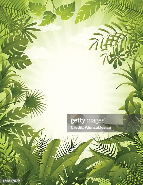 jungle background - tropical rainforest stock illustrations