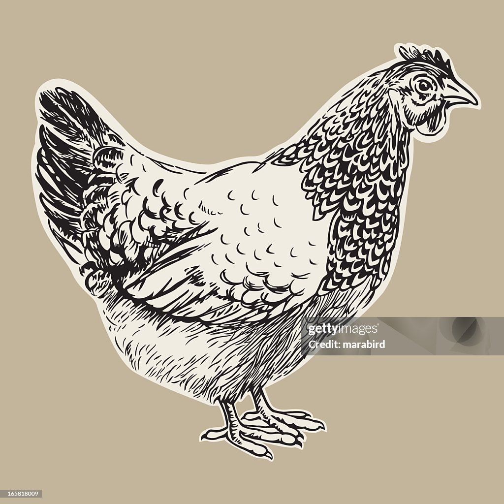 Hen