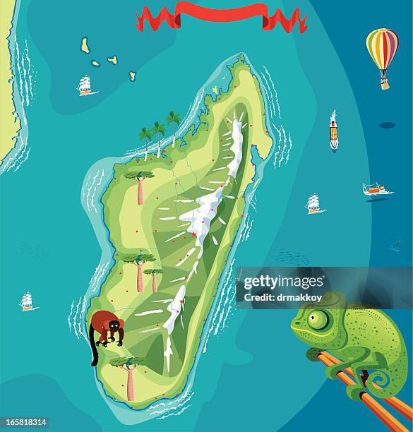 madagascar map - lemur stock illustrations
