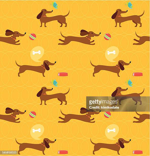 dachshund dog seamless pattern - dog bone stock illustrations stock illustrations